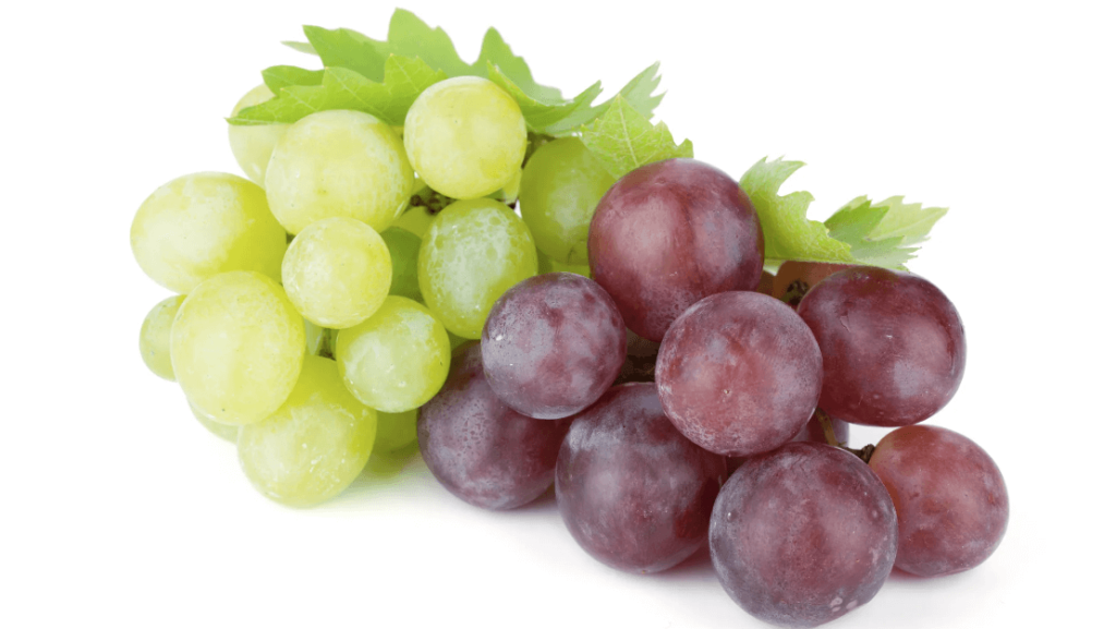 Clipart:9ii2kurovgo= Grape