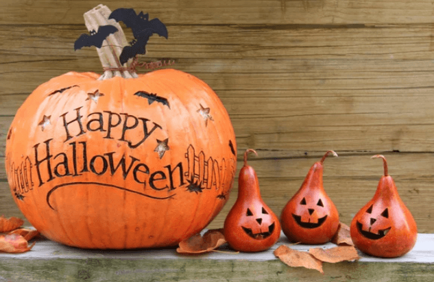 Cute:7nbf7tmtuqy= Happy Halloween Images