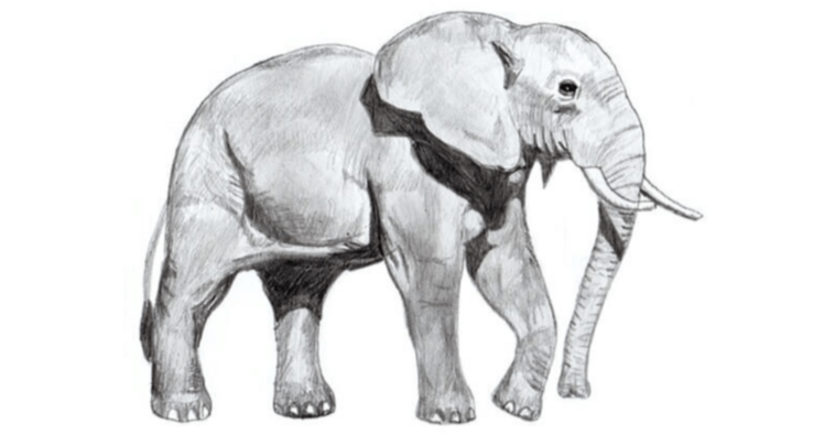 Drawing:K4ihdmzbtqg= Elephants