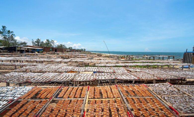 apex horizon 9492054630 unlocking