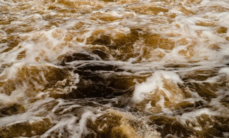 catalyst surge starts unlocking potential