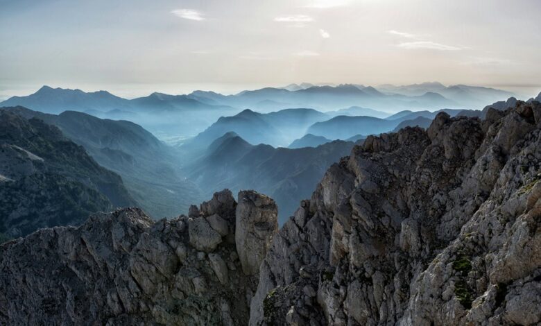 elevation flow start shaping horizons