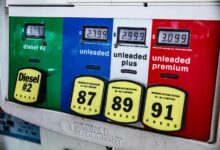 elevation prism start fueling market potential