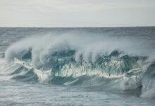 fusion surge drives strategic horizons