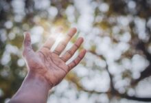 luminous wave start 18004637843