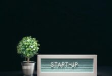 luminous wave start driving innovation