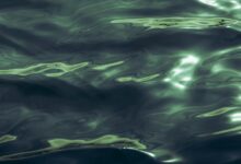 luminous wave starts fueling