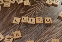 lottery results gambling curiosity portal interest