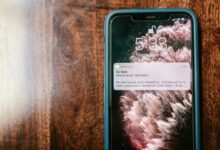 phone verification scam discovery hub