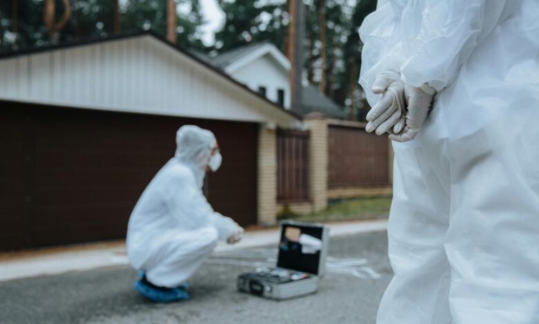 scammer lookup reveals fraud tools