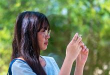 social media profile discovery hub