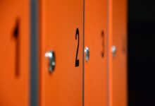 public registry profile numbers queried