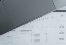 public registry report ids search results