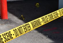 registry entries reveal inconsistent fraud investigations
