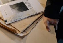 registry numbers search results reveal four ids