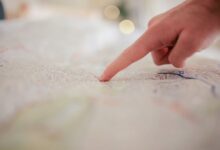 registry search results four ids paired summaries